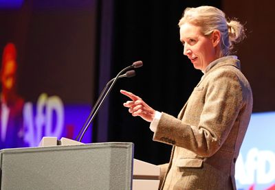 "Nemačkoj je pre uvođenja evra bilo znatno bolje", rekla je Weidel
