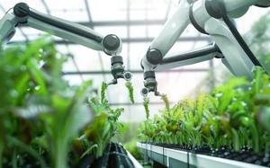 Image for Kuda ide AI: Od četbotova ka robotima?