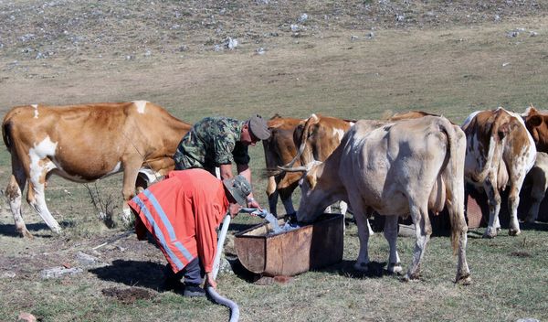 Na molbu lokalne samouprave, Vojska Srbije angažuje i četiri autocisterne za vodu iz kojih se dopunjavaju bunari i rezervoari koje meštani koriste za domaćinstva