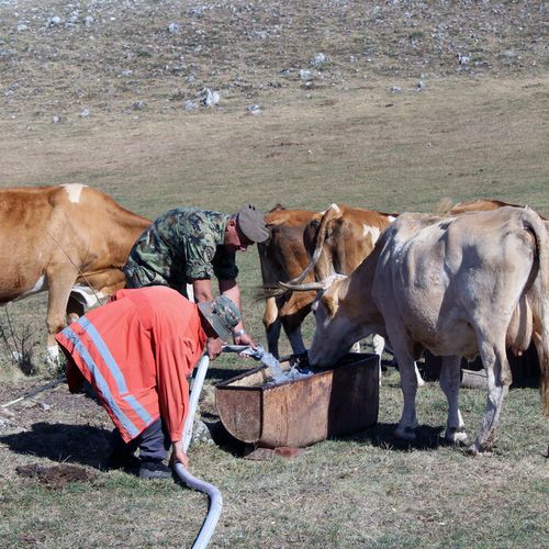 Na molbu lokalne samouprave, Vojska Srbije angažuje i četiri autocisterne za vodu iz kojih se dopunjavaju bunari i rezervoari koje meštani koriste za domaćinstva