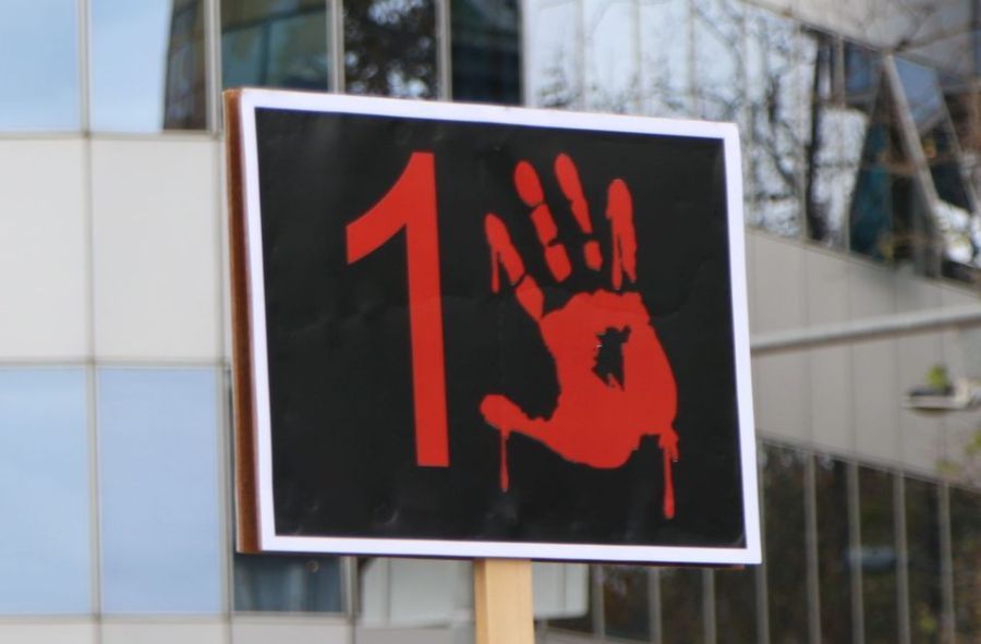 FoNet/021.rs/printscreen