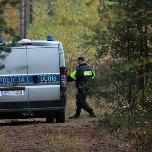 Iako se motiv još uvek službeno istražuje, policija ne isključuje mogućnost da je reč o naručenom ubistvu povezanom s organiziranim kriminalom