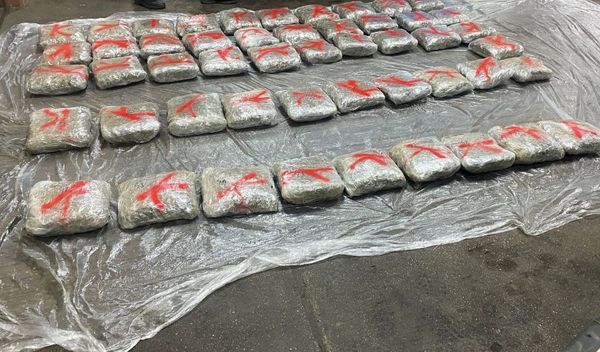 Image for Pun prtljažnik marihuane