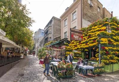 Image for Od maja sezona u Skadarliji