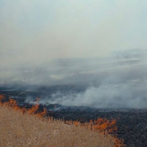 Protiv četiri privedene osobe biće podnete prekršajne prijave i preduzete zakonom propisane mere