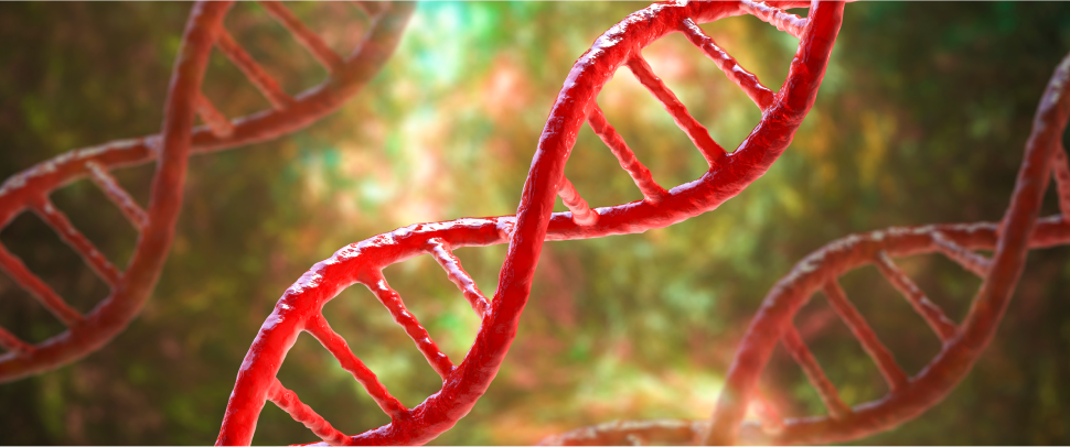 Image for Po prvi put izlečena srpasta anemija