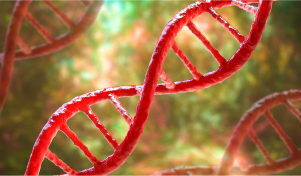 Image for Po prvi put izlečena srpasta anemija