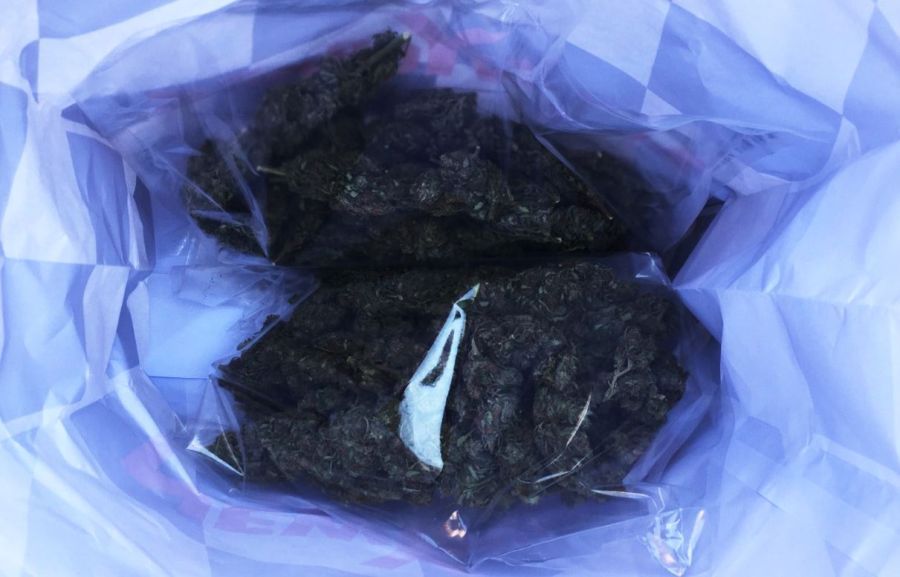 Image for Zaplenjeno 2,5 kg marihuane