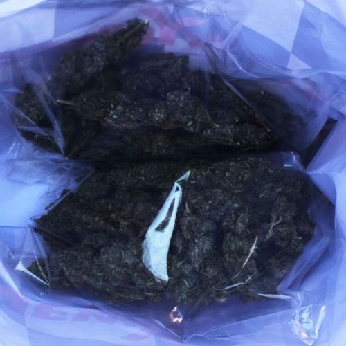 Image for Zaplenjeno 2,5 kg marihuane