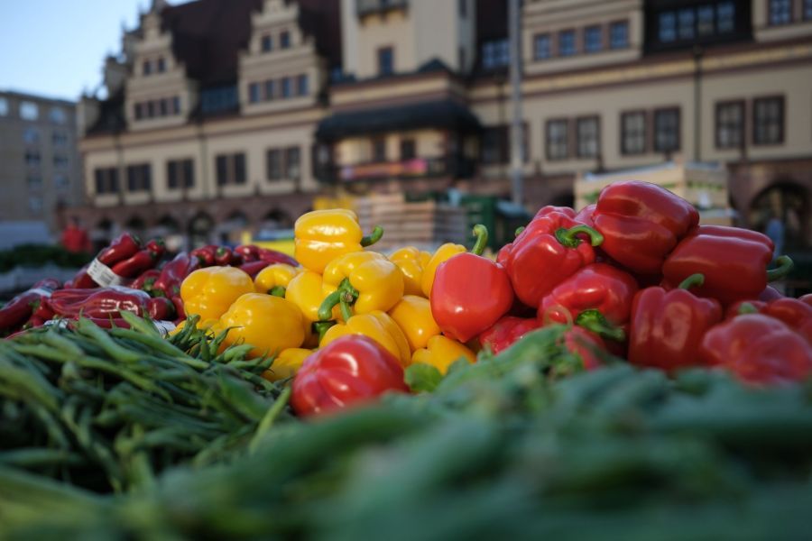Image for Klimatske promene ugrožavaju zdravlje: Opada interesovanje, rizici rastu