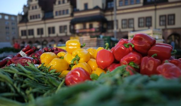 Image for Klimatske promene ugrožavaju zdravlje: Opada interesovanje, rizici rastu