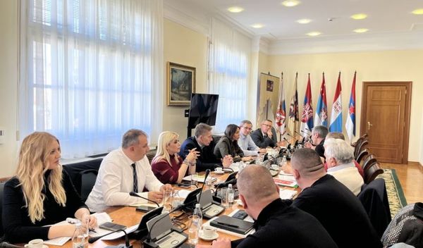 Image for Martinović sa malinarima