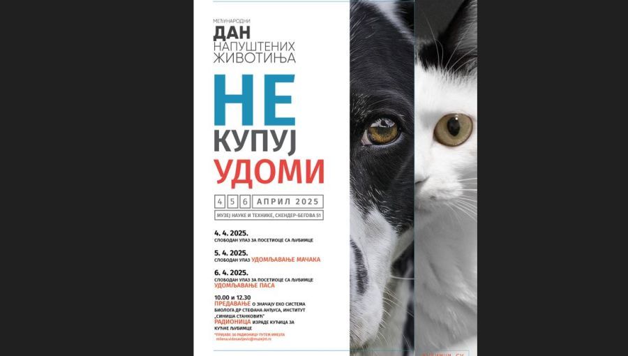 Image for "Ne kupuj, udomi" u muzeju