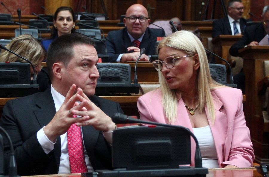 Image for Podrška Ružiću