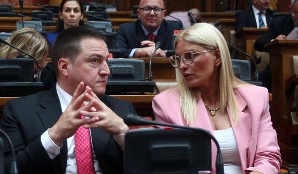 Image for Podrška Ružiću