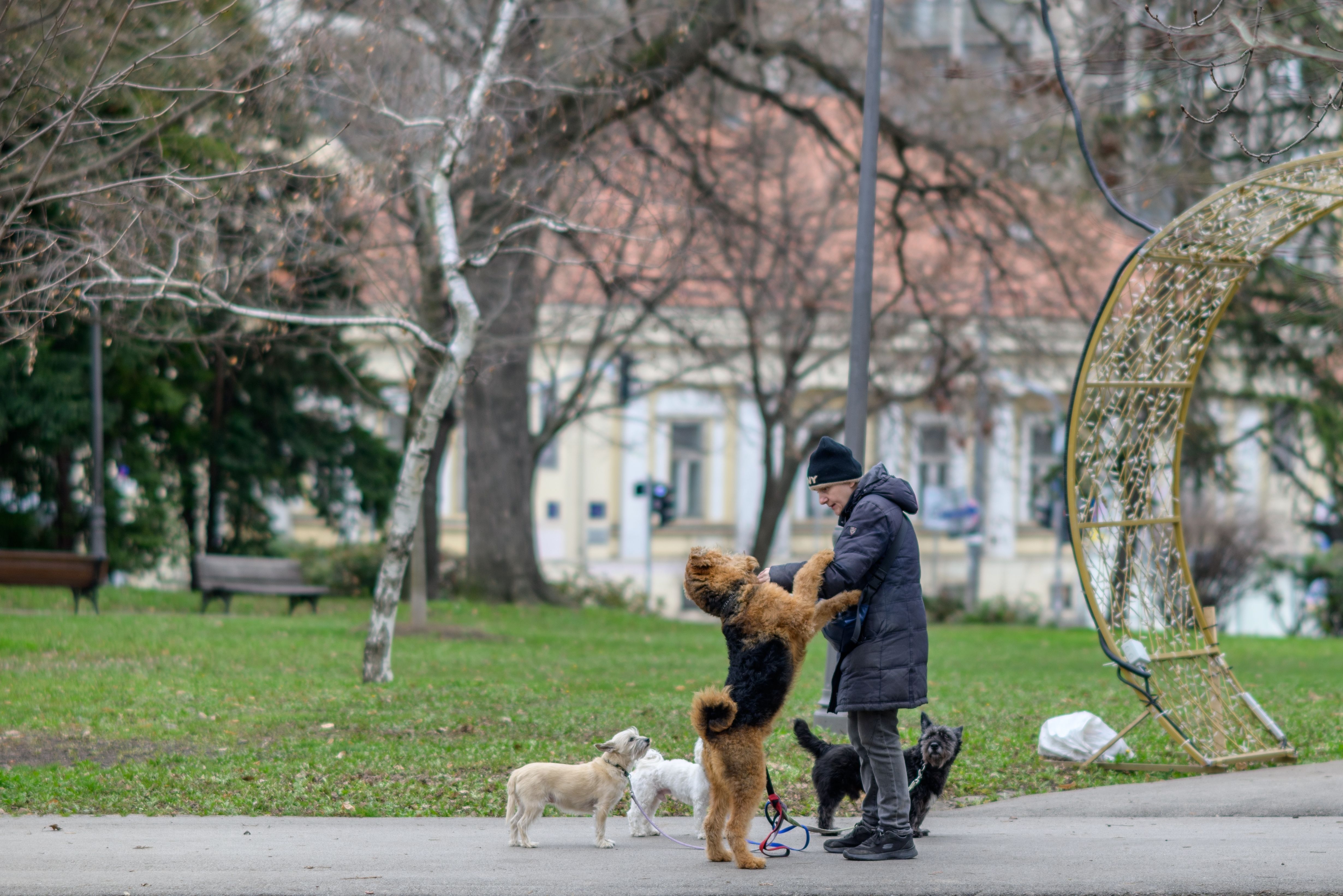 Image for Vremenska prognoza za petak, 16. januar: Ujutru ponegde mraz, do 10 stepeni 
