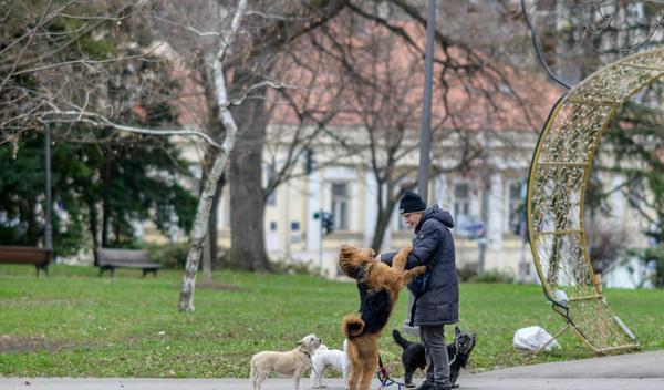 Image for Vremenska prognoza za petak, 16. januar: Ujutru ponegde mraz, do 10 stepeni