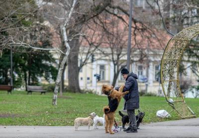 Image for Vremenska prognoza za petak, 16. januar: Ujutru ponegde mraz, do 10 stepeni