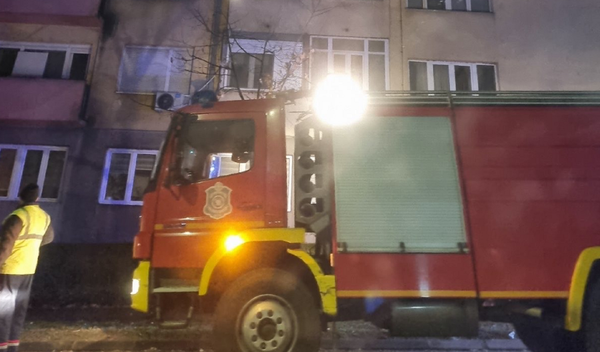 Image for Goreo stan