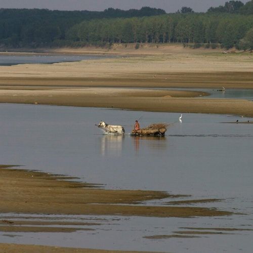 Ova mera se preduzima zbog izuzetno niskog vodostaja reke, izazvanog teškom sušom koja je zahvatila čitav region