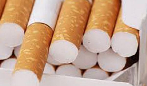 Image for Svakog dana 13 žrtava