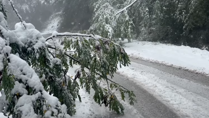 Image for Sela u okolini Prokuplja bez struje, putevi neprohodni zbog snega 