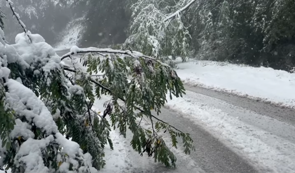 Image for Sela u okolini Prokuplja bez struje, putevi neprohodni zbog snega