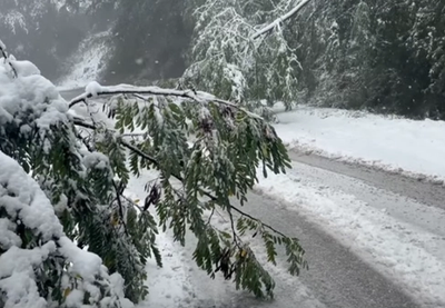 Image for Sela u okolini Prokuplja bez struje, putevi neprohodni zbog snega