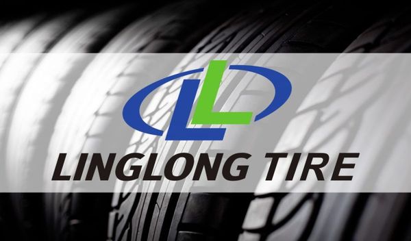 Image for Pandorina kutija dokaza