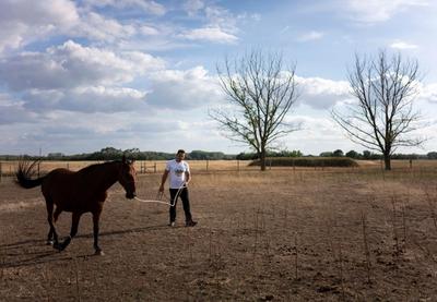 Image for Ova godina je trebalo da nas rashladi, ali bila je među tri najtoplije