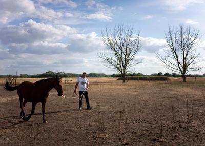 Image for Ova godina je trebalo da nas rashladi, ali bila je među tri najtoplije