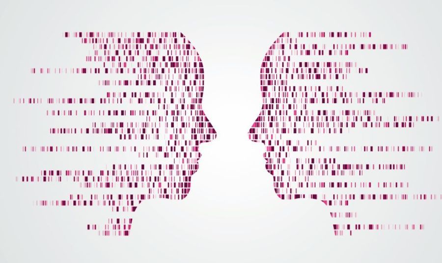 Image for I kamenčić je rizik