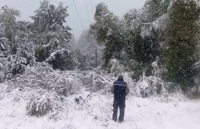 Image for Vanredno u četiri mesta