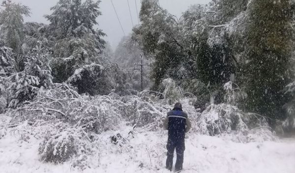 Image for Vanredno u četiri mesta