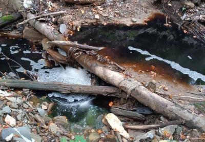 Image for Katasrofa u najavi