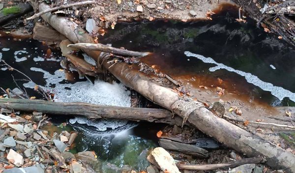 Image for Katasrofa u najavi