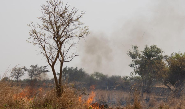 Image for Klimatska akcija hitno