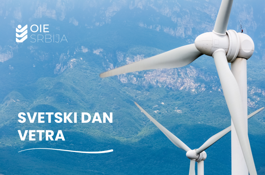 Image for Svetski dan vetra