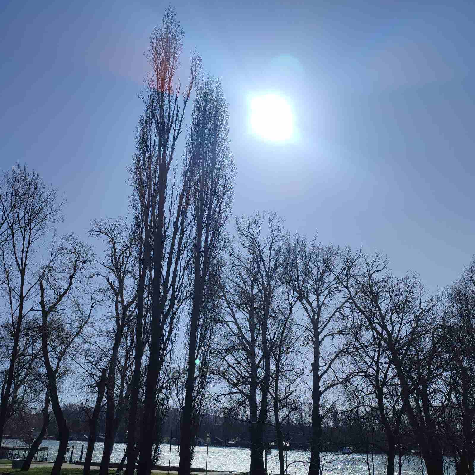 Image for Ujutru ponegde mraz, tokom dana od 15 do 20 stepeni