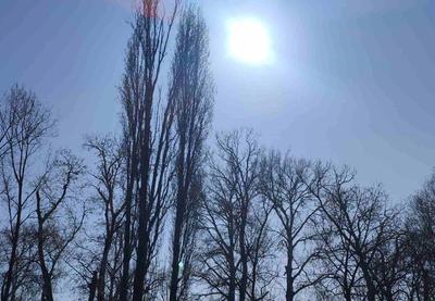 Image for Ujutru ponegde mraz, tokom dana od 15 do 20 stepeni