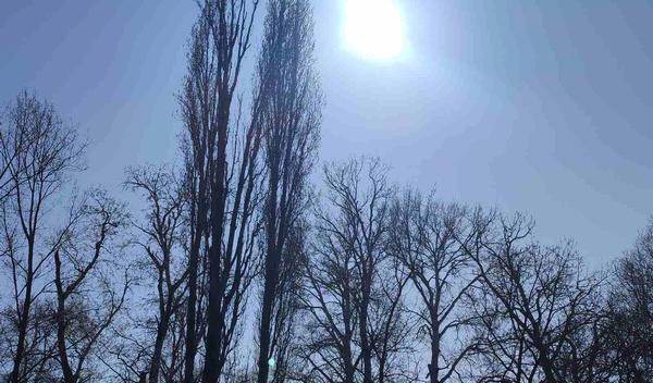 Image for Ujutru ponegde mraz, tokom dana od 15 do 20 stepeni