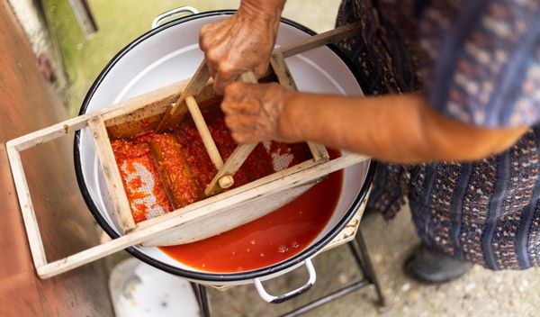 Image for Nagrada za prženje ajvara