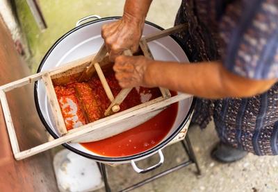 Image for Nagrada za prženje ajvara