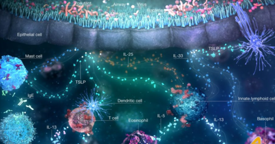 Image for Novi pristup astmi