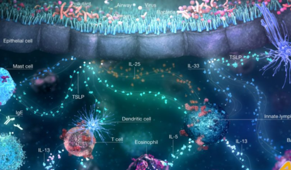 Image for Novi pristup astmi