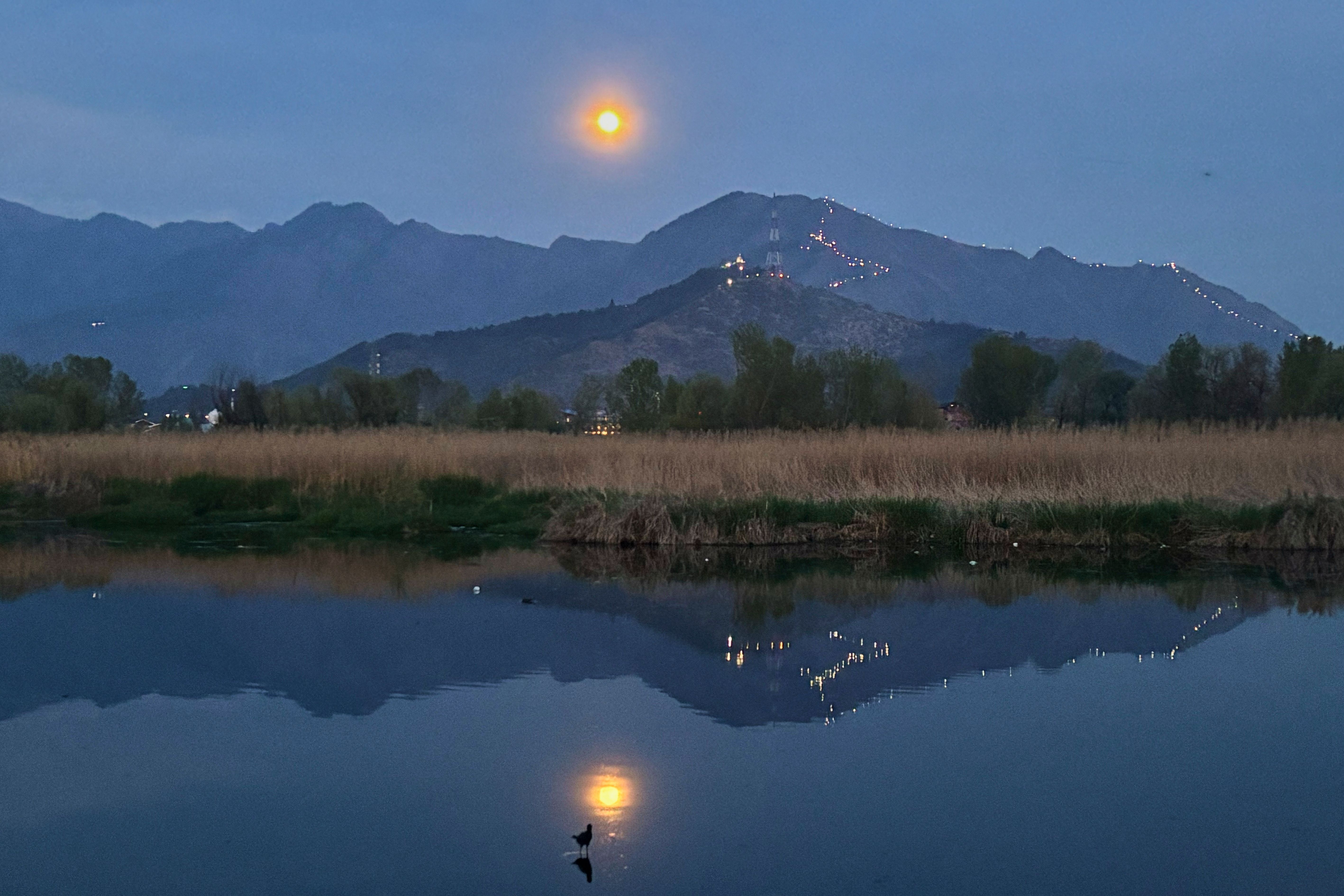 Image for Pobuna druida u Bretanji