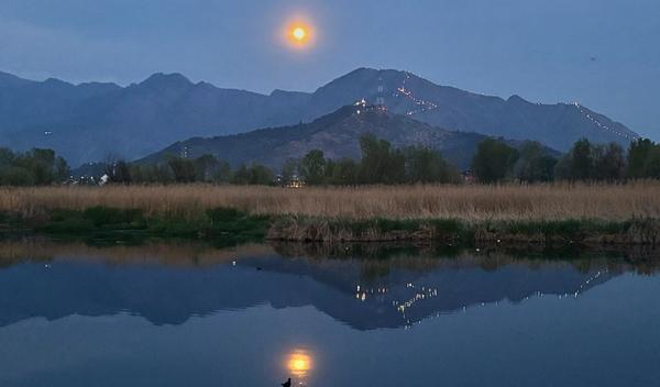 Image for Pobuna druida u Bretanji