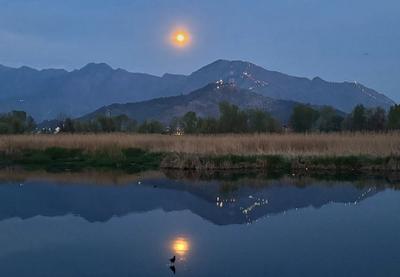 Image for Pobuna druida u Bretanji