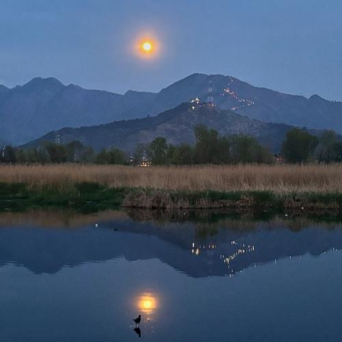 Image for Pobuna druida u Bretanji