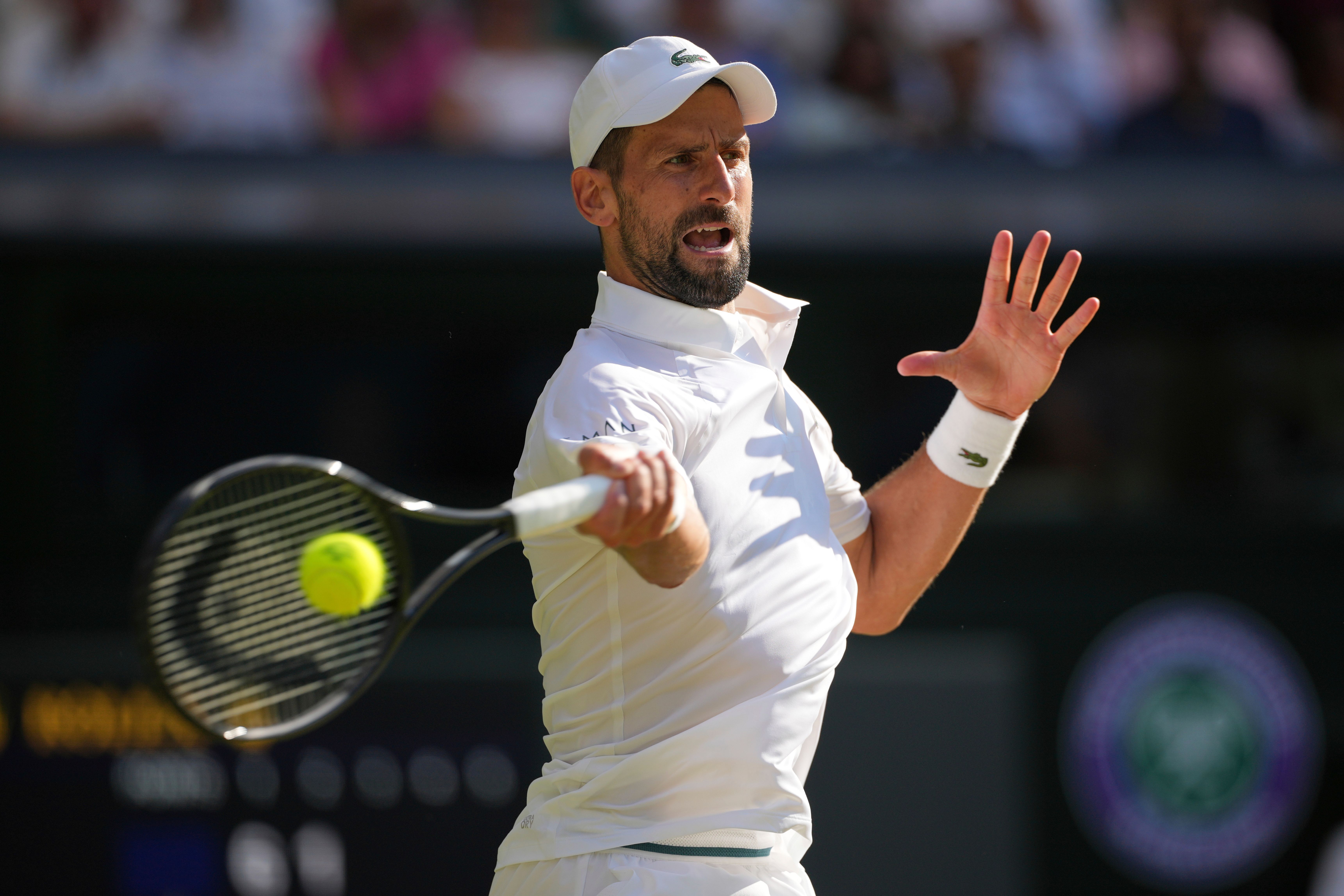 Image for Lakost menja logo zbog Đokovića